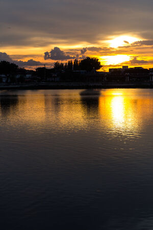 Sunset Sky at the park, Twilight Silhouetteの写真素材