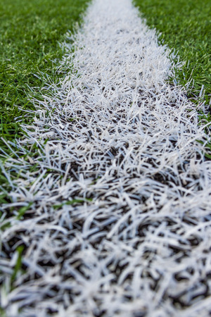 white line on soccer field grass backgroundの写真素材