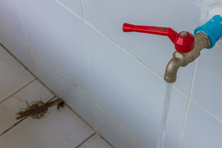 Row of faucet is public property backgroundの写真素材