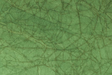 Old light green crumpled paper textureの写真素材