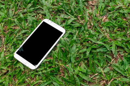 White smart phone with blank screen on green grass backgroundの写真素材