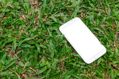 White smart phone with blank screen on green grass backgroundの写真素材