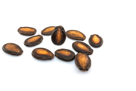 Black Melon Seeds on white backgroundの写真素材