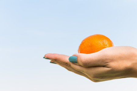 Beautiful female hands with the orange  on the skyの写真素材