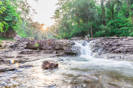 forest waterfall on sunset, Natureの写真素材