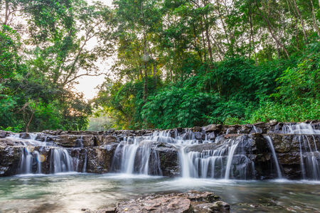 forest waterfall on sunset, Natureの写真素材
