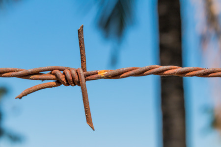 Fence barbed wire railing is rusty with blue skyの写真素材
