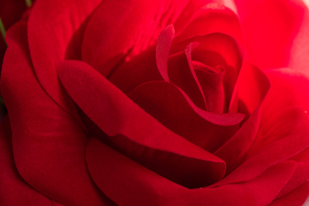 Red Fabric Rose flower  artificial flowers on colorful backgroundの写真素材