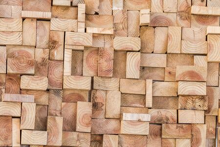 close-up of Wood texture of cut tree trunk for background