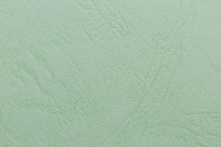 Light Green paper texture background