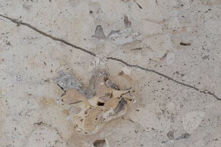 Nature stone texture backgroundの写真素材