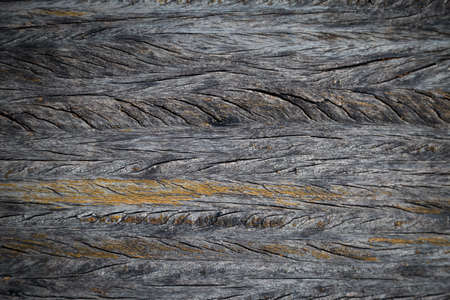 texture of brown wood use as natural backgroundの写真素材