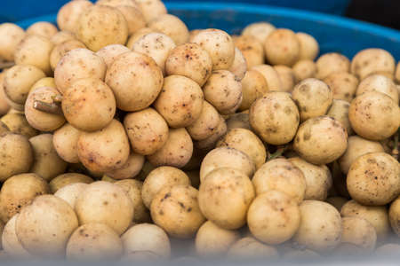 Fresh Wollongong fruit on the basket nature backgroundの写真素材