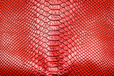 Red snake skin pattern texture backgroundの写真素材