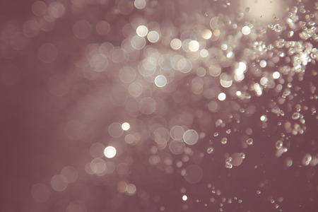 bokeh of water fly and lights on black backgroundの写真素材