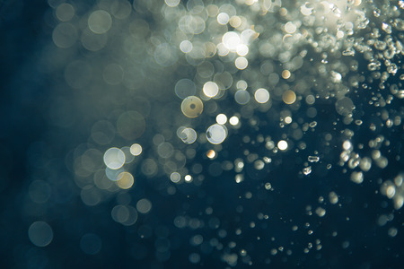 bokeh of water fly and lights on black backgroundの写真素材