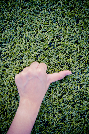 Girl hand thump up on green grass backgroundの写真素材