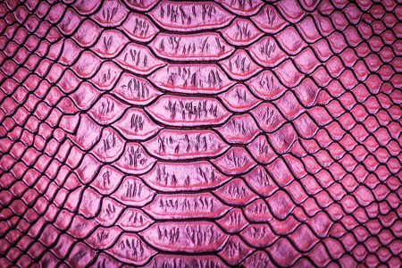 close up of snake skin texture use for backgroundの写真素材