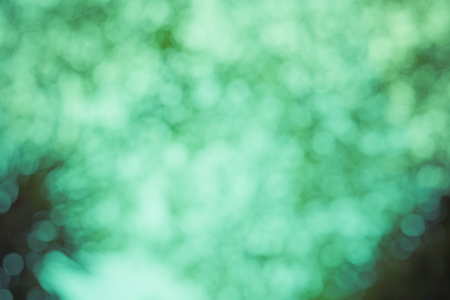 Natural green blurred bokeh backgroundの写真素材