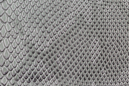 close up of exotic Snakeskin pattern as a wallpaper