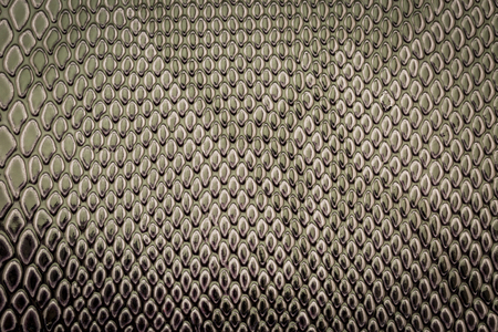 Snake skin pattern as a wallpaperの写真素材