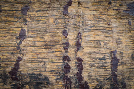 Abstract background of old dark wood texturebackground