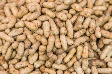 Many peanuts in shells use for backgoundの写真素材