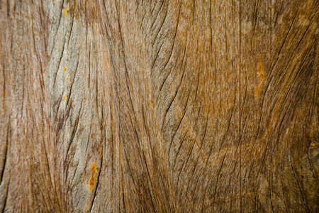 brown wood texture use for backgroundの写真素材