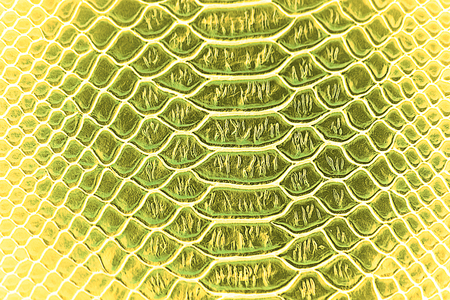 Close up of Abstract Luxury snake skin texture use for background