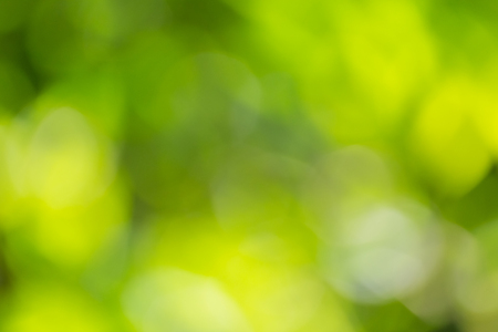 green bokeh of nature use for backgroundの写真素材