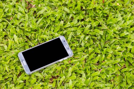 Smart phone on green grass backgroundの写真素材