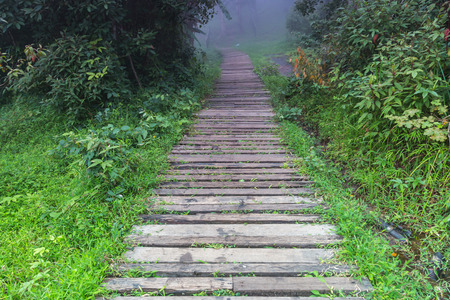 Wood bridge to nature background