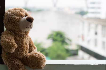 Lonely bear on the window with green bokeh backgroundの写真素材