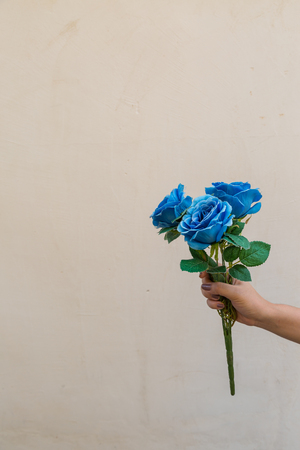 Hand holding blue fabric roses on brown backgroundの写真素材