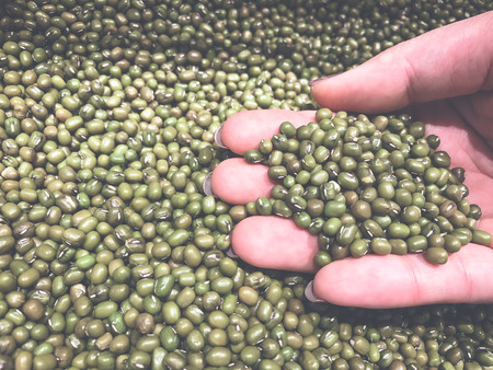 Woman hands holding green beans backgroundの写真素材