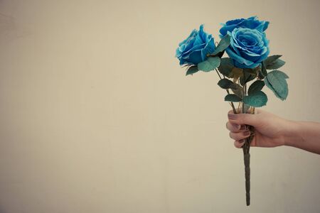 Hand holding blue fabric roses on brown backgroundの写真素材
