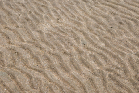 Yellow wave sand texture on the beachの写真素材