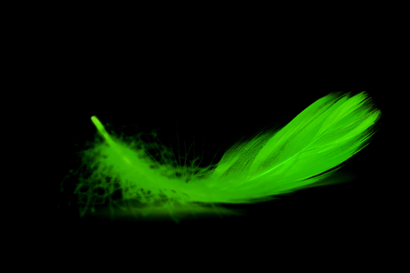 Close up of soft Purple feather isolated on white backgroundの写真素材