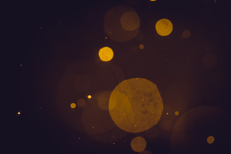 Dark Abstract Gold bokeh sparkle on black backgroundの写真素材