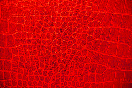 Red skin leather texture use for backgroundの写真素材