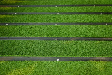 Stairs covered with green artificial grassの写真素材