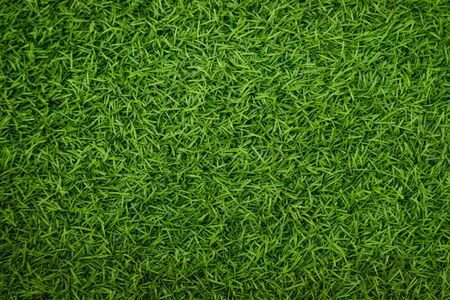 Green artificial grass naturalの写真素材