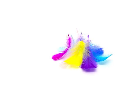 Beautiful colorful feather on white backgroundの写真素材