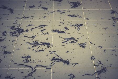 Air Pollution of Ashes from burnt Plant, Grass on the Village roadの写真素材