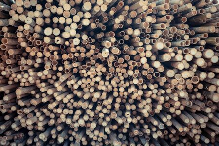 Beautiful nature cutting bamboo sticks texture use for pattern background