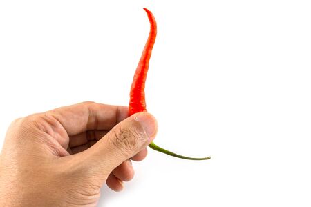 Isolated of hand picking up a fresh red chilli on white backgroundの写真素材