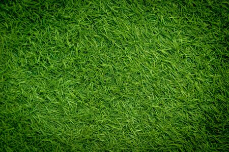 Green artificial grass naturalの写真素材