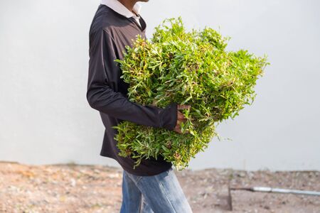 Preparation for planting turf on the fieldの写真素材