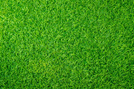 Green artificial grass naturalの写真素材