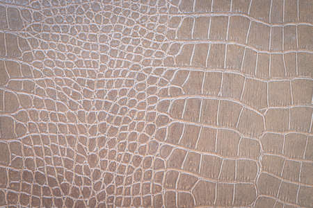 Brown snake skin pattern animal nature backgroundの写真素材